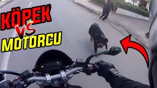 KÖPEK VS MOTORCU Köpek Motorcuya Saldırdı [upl. by Clarance]