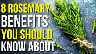 8 Benefits of Rosemary You Should Know  Rosemary Uses and Benefits [upl. by Thaddaus585]