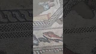 quotThe Achaeans of Menanderquot roman mosaic at Ulpia Escus bulgaria [upl. by Eben322]