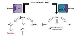 Asprin NSAID  Mechanism of Action antiinflammatory action [upl. by Ottavia714]