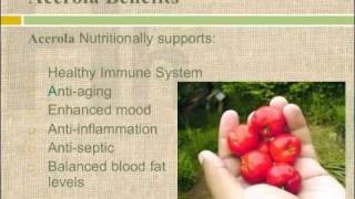 Acerola Cherries  Acerola Berry Health Benefits amp Vitamin C [upl. by Annenn]