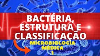 BACTÉRIA ESTRUTURA E CLASSIFICAÇÃO  MICROBIOLOGIA MÉDICA 1 [upl. by Ymmot]