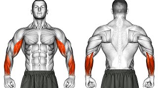 Dumbbell Arm Workout for Strong Biceps Forearms Wrists [upl. by Gut]