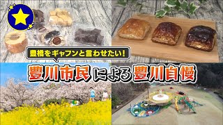 【豊川市】豊橋をギャフンと言わせたい！豊川市民による豊川自慢【愛知あたりまえ】 [upl. by Laughton]