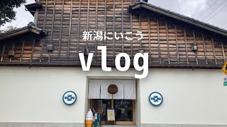 vlog｜ここに行ってほしい！新潟旅行のおすすめ 新潟 新潟観光 vlog 社会人vlog 旅行 旅行vlog [upl. by Adnirim986]