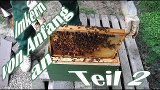 Imkern von Anfang an  Teil 2  Der erste Ableger  Das erste Bienenvolk  Bienen für Anfänger [upl. by Milt]