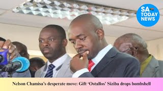 Nelson Chamisa’s desperate move Gift ‘Ostallos’ Siziba drops bombshell [upl. by Cj196]