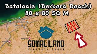 2023 BERBERA BEACH  LAND FOR SALE  DHUL IIB AH BATALAALE BERBERA [upl. by Enehs]