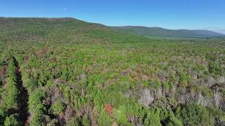 FOR SALE 122 Acres  Bates Arkansas  Adjoining National Forest [upl. by Leitnahs]