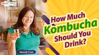 Kombucha Benefits Drinking Too Much Kombucha with Kombucha Kamp [upl. by Ahsaek585]