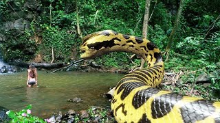 বিশ্বের সবচেয়ে বড় ৫টি সাপ  Top 5 biggest snake in the world [upl. by Lesak]