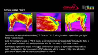 Allies Recovery with Laser amp Digital Thermal Imaging [upl. by Hindorff]