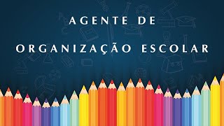 PSS Agente de Organização Escolar  269 VAGAS na Sul 3  Estado de SP [upl. by Skurnik]