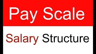 Basic Concept of Pay Scale Pay Structure Salary Structure in Urdu  Hindi [upl. by Tsyhtema]