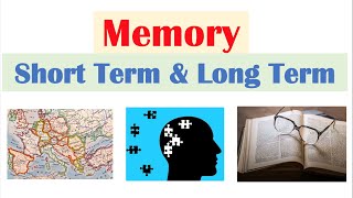 Types of Memory  Short Term amp Working Memory Long Term Memory Explicit and Implicit [upl. by Pillow]