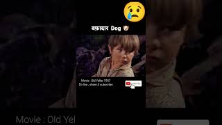 वफ़ादार Dog 🐶  Old Yeller 1957  movie explained in hindi  shorts viral hopclimax [upl. by Eatnahc]