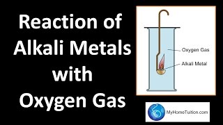 Group 1 Metal  Reaction with Oxygen Gas  Periodic Table [upl. by Teena]