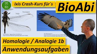 Homologe und analoge Organe Anwendungsaufgaben 1b BegründenBeurteilen BioAbi Analogie Homologie [upl. by Polly494]