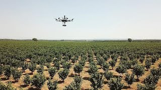 Robot e droni per ridurre gli sprechi dei terreni agricoli di grandi dimensioni [upl. by Elamaj250]