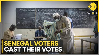 Senegal votes for its next president  Latest English News  WION [upl. by Stan703]