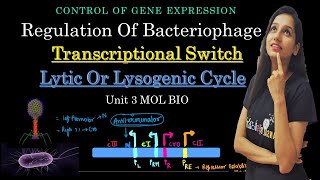 Lytic vs Lysogenic Cycle Switch I Regulation Of Phages I Control Of Gene Expression I Lambda Phage [upl. by Etteraj236]