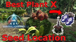 Ark Lost Island Plant X Location Ark Survival Ascended Plant Species X Best Plant X seed Location [upl. by Anniahs694]