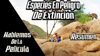 Especies En Peligro De Extinción quotEndangered Speciesquot RESUMEN [upl. by Sethi]