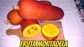 FRUTA MORTADELA  CRUA  COROÁ  SICANA ODORÍFERA [upl. by Naginnarb]