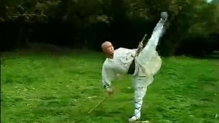 Shaolin Kung Fu 36move staff [upl. by Nolek979]