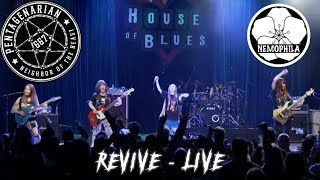 Nemophila is KILLING IT with Revive  Live at the House of Blues [upl. by Kirch524]