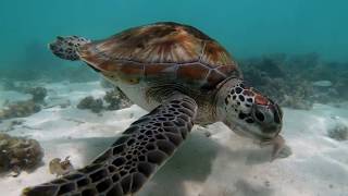 Mauritius  Club Med la Pointe aux canonniers Gopro hero 7 HD [upl. by Anderea]