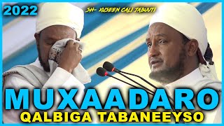 Muxaadaro Qalbiga Taabaneeyso 2022  Sheekh Xuseen Cali Jabuuti [upl. by Ul]