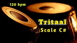 Tabla  Tritaal  120 bpm  Scale C  With Tanpura Pa Sa  HD Quality Sound  tabla Online [upl. by Omura]