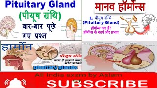 पीयूष ग्रंथि  मास्टर ग्रंथिpituitary gland By All India exam by Aslam sir subscribe channel [upl. by Eniamret]