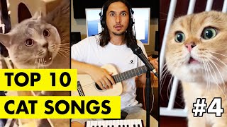 Top 10 Cat Songs by The Kiffness [upl. by Jard942]