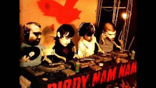 Birdy Nam Nam  New Birth electro [upl. by Noira]