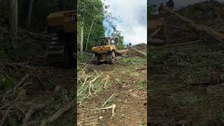 Heavy Machinery Marvels D6R XL Bulldozer Opening Up Mountainous Land [upl. by Ignaz]