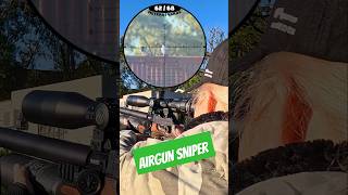 Unreal Airgun Accuracy  FX King  Best PCP Airguns in the world  FX Airguns fxairguns [upl. by Sac]