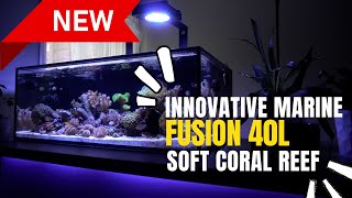 Innovative Marine 40L  A First Look At My Latest Upgrade [upl. by Dnomad]