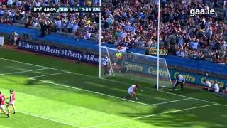 Top 5 GAA Hurling Goals  2013 [upl. by Ree349]