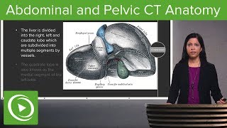 Normal Abdominal amp Pelvic CT Anatomy Algorithm – Radiology  Lecturio [upl. by Jaime249]