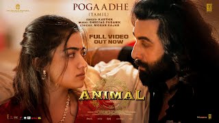 Full Video Pogaadhe  ANIMAL  Ranbir K Rashmika M  Karthik Shreyas P Mohan R  Sandeep Reddy V [upl. by Aiyot]