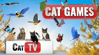 Cat TV  3D Birds and Butterflies in Serene Nature Scenes 🌿🦋  Calming Sounds and Music for Cats [upl. by Araz788]