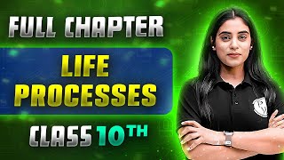 Life Processes FULL CHAPTER  Class 10th Science  Chapter 5  Udaan [upl. by Myers578]