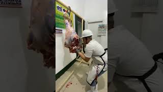 deboning of beef hindquarter [upl. by Suillenroc]