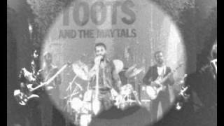 GET UP STAND UP  TOOTS AND THE MAYTALS  TORHOUT WERCHTER 1981 PART 3 [upl. by Leakim531]