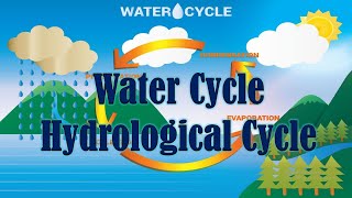 WatercycleHydrological Cycleexplained  The Modern Teacher  TeluguEnglish  General Studies [upl. by Alicul456]