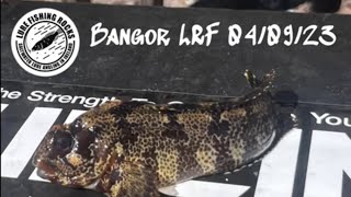 Bangor LRF 040923 [upl. by Mirilla]