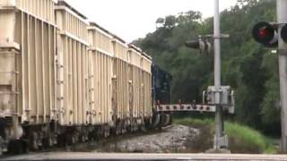 CSX O84224 at Valrico FL 52409 [upl. by Eremaj]