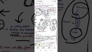 Diphyllobothrium latum  cestodes  parasitology  microbiology  Dr Zubia [upl. by Antonie]